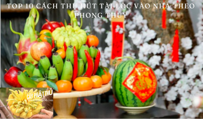 Top 10 cách thu hút tài lộc vào nhà theo phong thủy