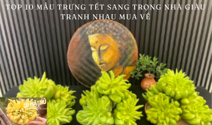 Top 10 mẫu trưng tết sang trọng nhà giàu tranh nhau mua về